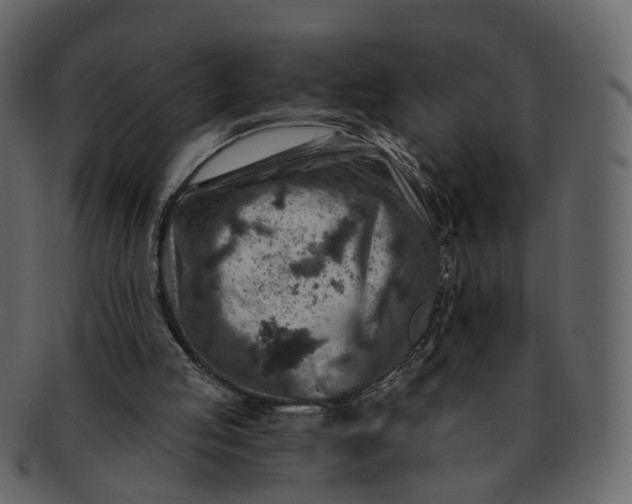 X0000092300053200710051227