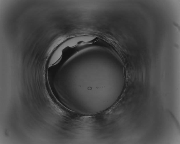 X0000092300054200710051227