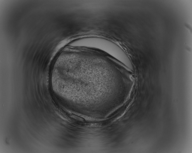 X0000092300056200710051228