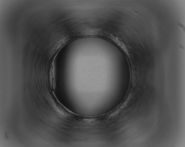 X0000092300057200710051228