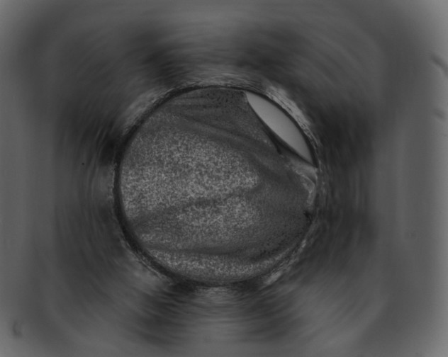 X0000092300058200710051228