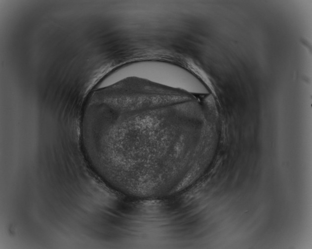 X0000092300059200710051228