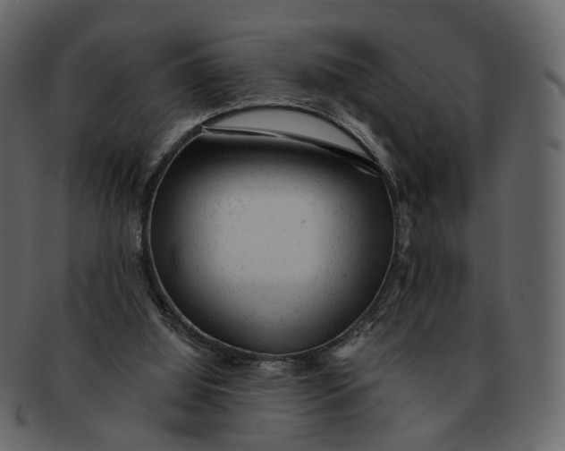 X0000092300060200710051228