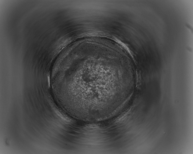 X0000092300061200710051228