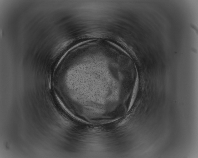 X0000092300062200710051228