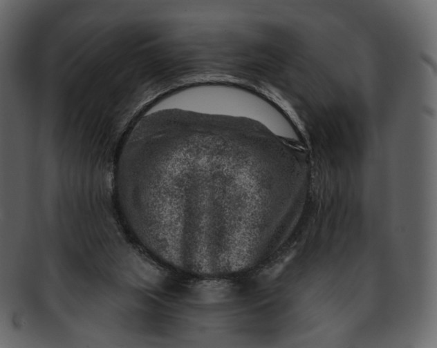 X0000092300063200710051228