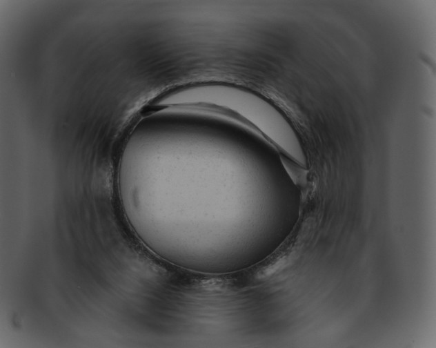 X0000092300064200710051228