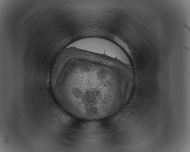 X0000092300065200710051228