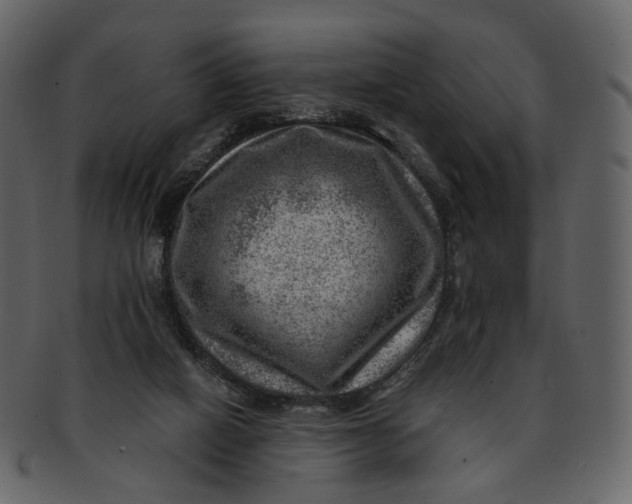 X0000092300066200710051228