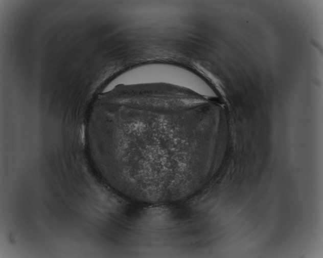 X0000092300067200710051228