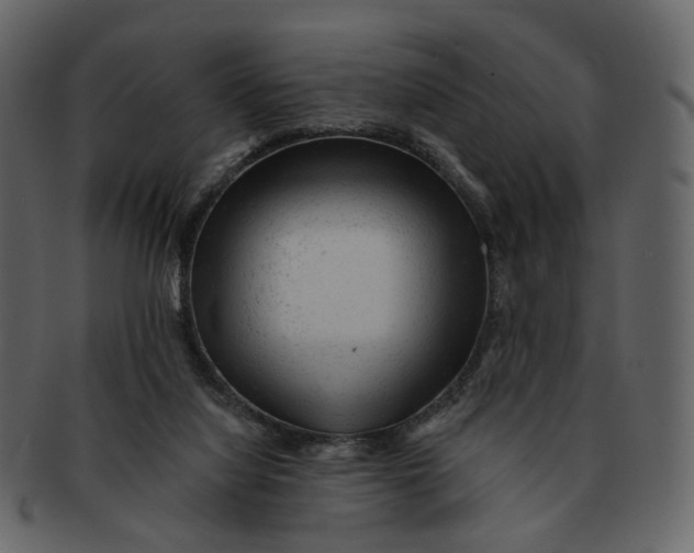 X0000092300068200710051228