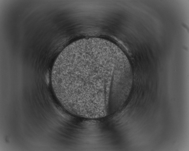 X0000092300069200710051228