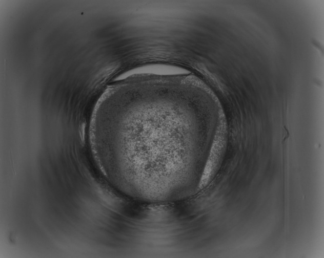 X0000092300070200710051228