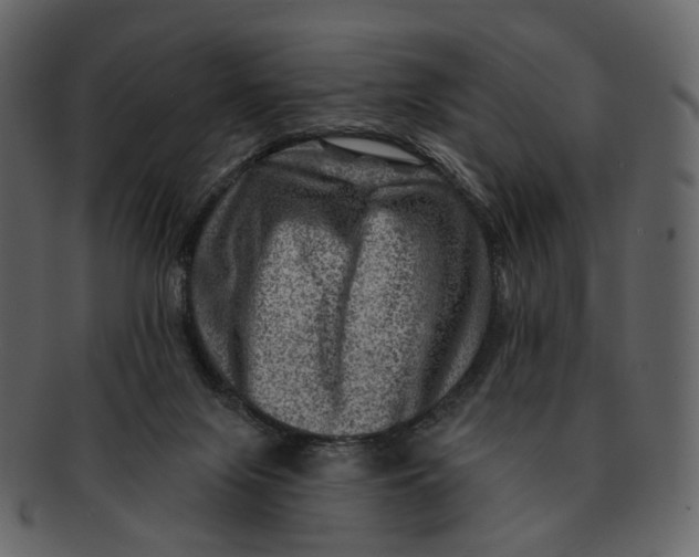 X0000092300071200710051228