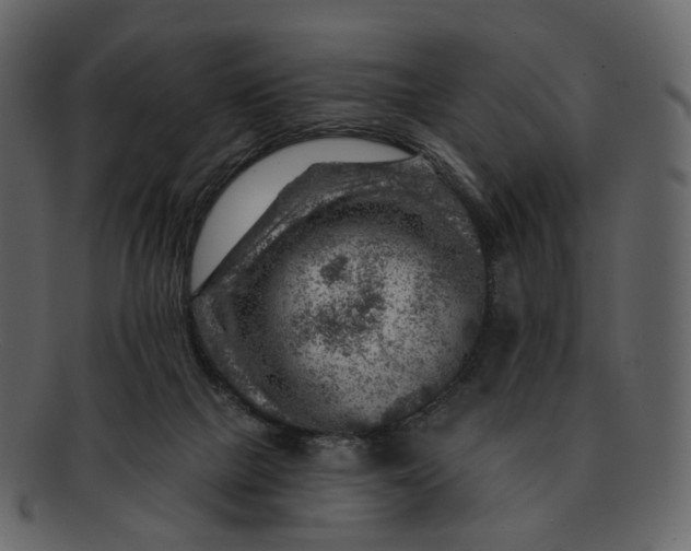 X0000092300073200710051228