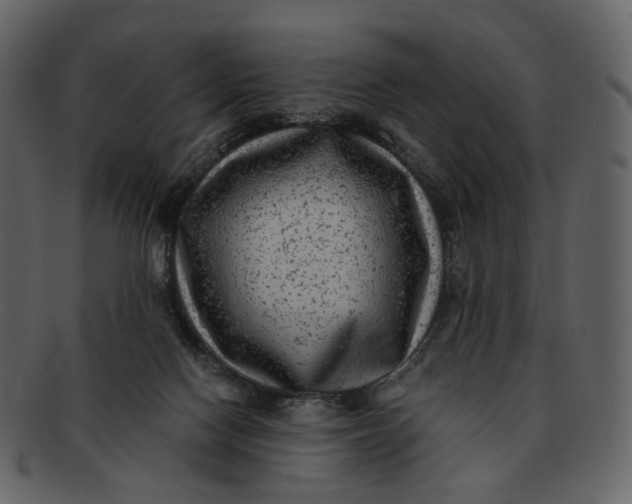 X0000092300074200710051228