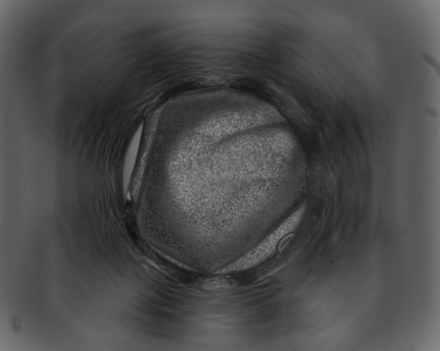 X0000092300075200710051228