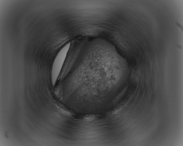 X0000092300076200710051228