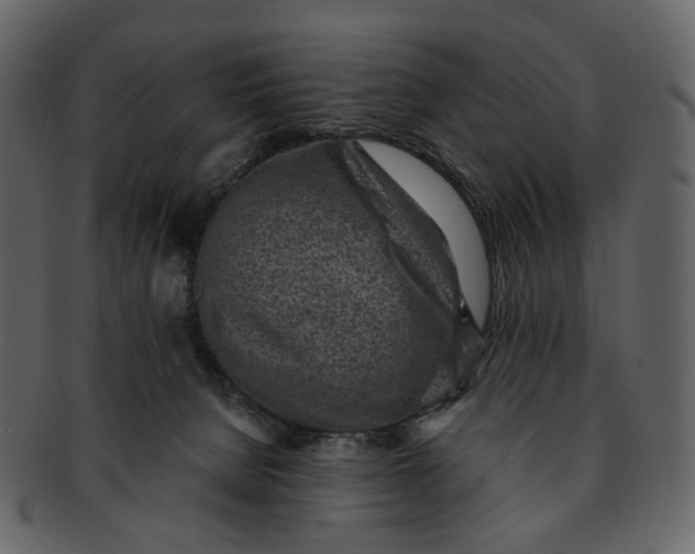 X0000092300080200710051228