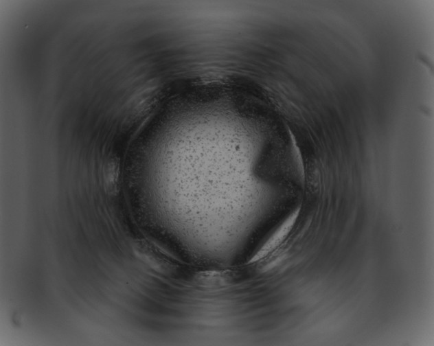 X0000092300082200710051228