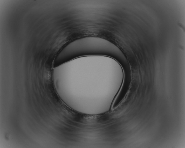 X0000092300084200710051228