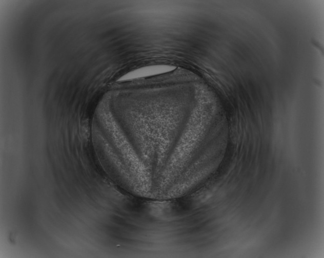 X0000092300085200710051228