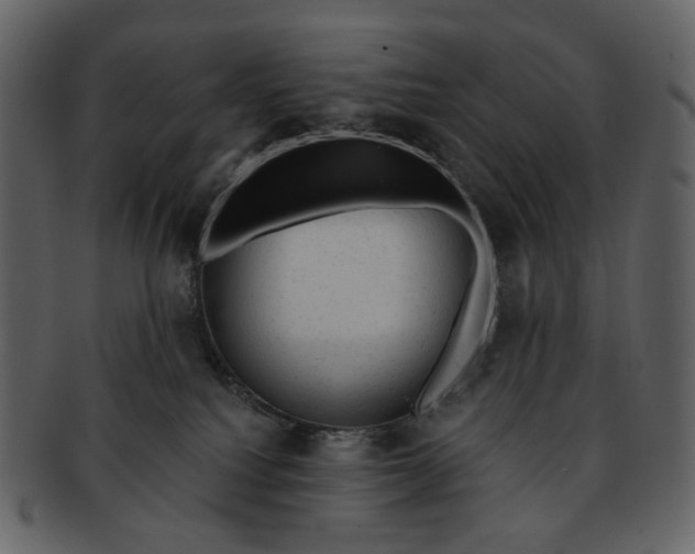 X0000092300088200710051228