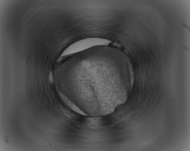 X0000092300089200710051228