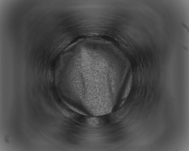 X0000092300091200710051228