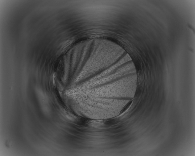 X0000092300094200710051228