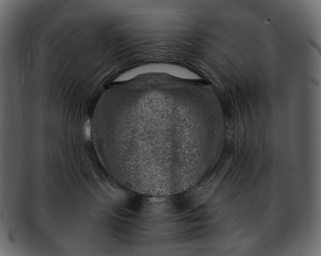 X0000092300095200710051228