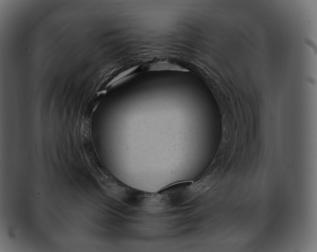 X0000092300096200710051228