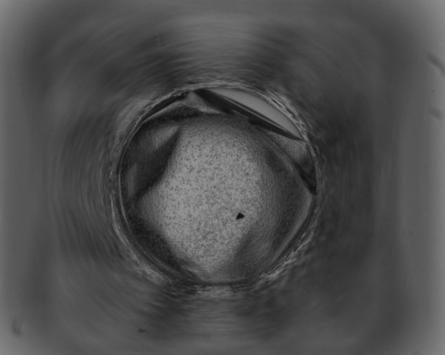 X0000092300097200710051227