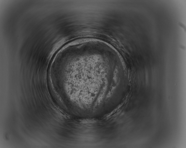 X0000092300099200710051227