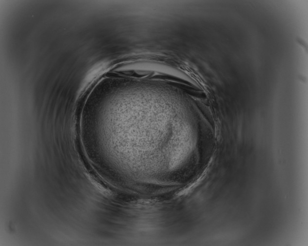 X0000092300101200710051227