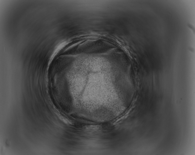 X0000092300102200710051227