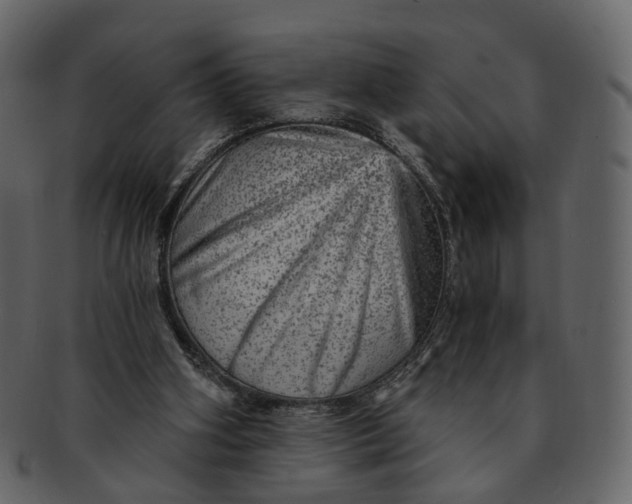 X0000092300106200710051227