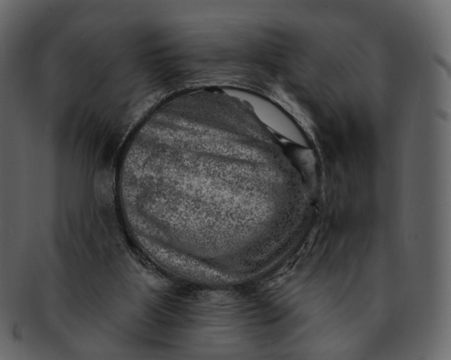 X0000092300107200710051227