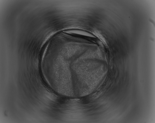 X0000092300108200710051227