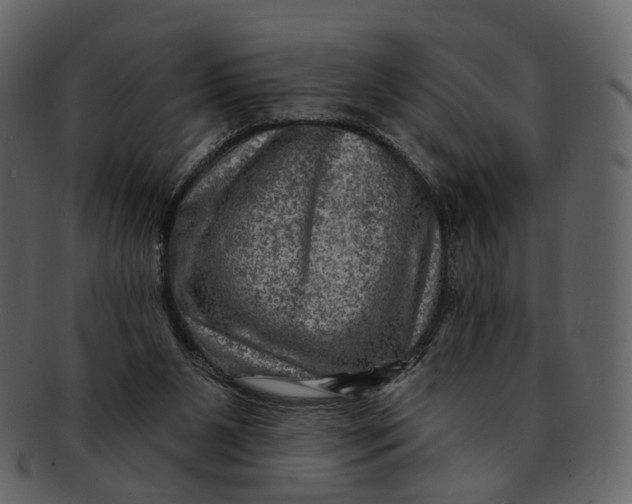 X0000092300111200710051227