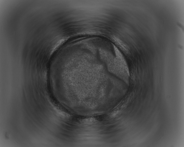 X0000092300112200710051227