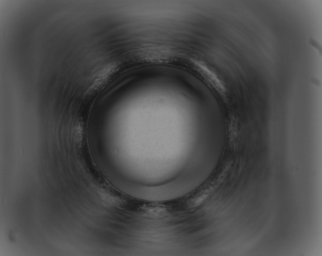 X0000092300113200710051227