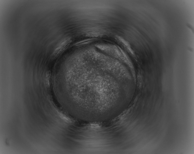 X0000092300114200710051227