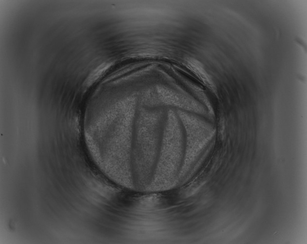 X0000092300116200710051227