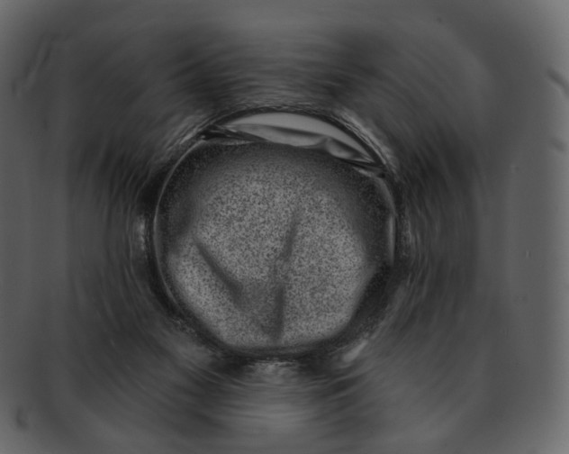 X0000092300117200710051227