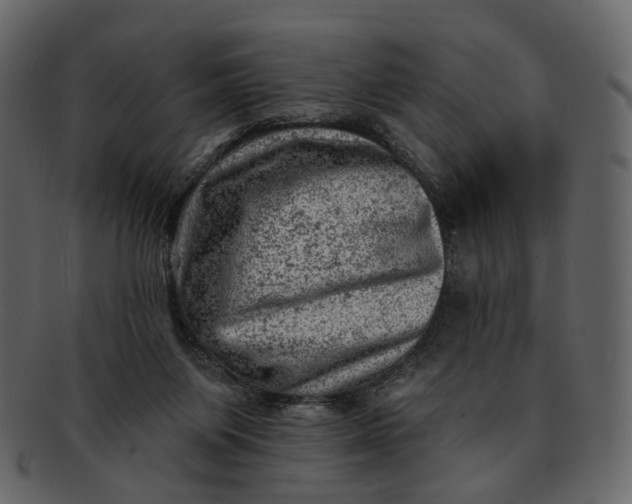 X0000092300119200710051227