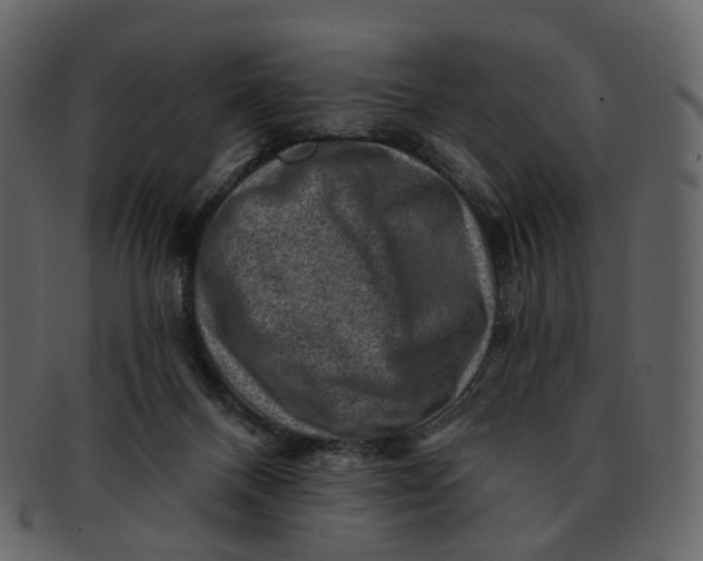 X0000092300120200710051227