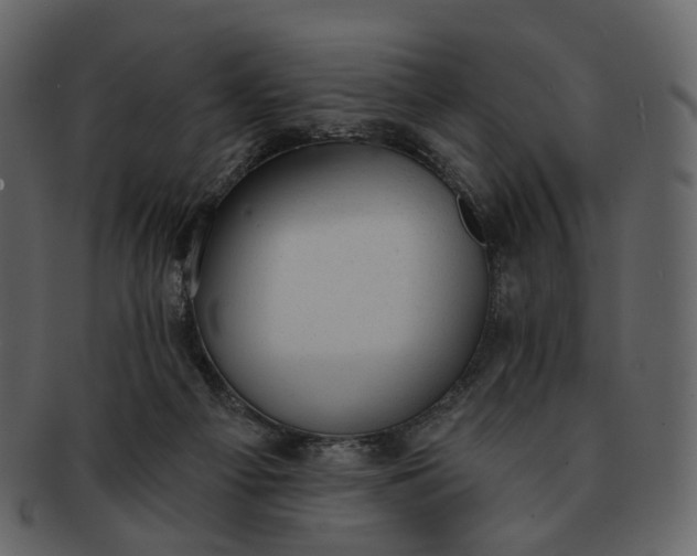 X0000092300121200710051227