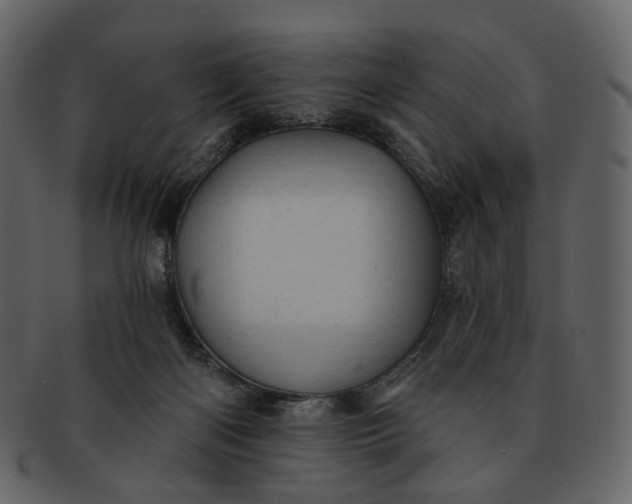 X0000092300122200710051227