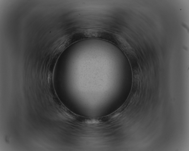 X0000092300125200710051227